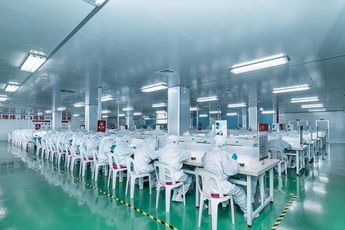 燕之屋自有工廠出品,高品質燕窩有保障