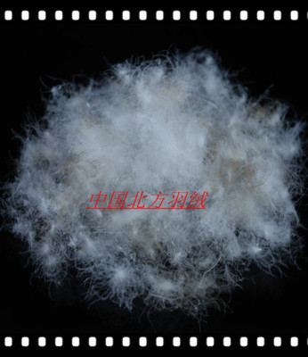 【鴨毛 羽絨供應(yīng)遼寧的好羽絨 羽絨】?jī)r(jià)格,廠家,圖片,羽毛、羽絨,安新縣大張莊北方羽絨制品銷售部-