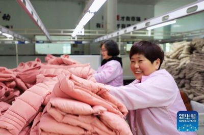 河南范縣 羽絨及制品產銷兩旺，工人干勁十足